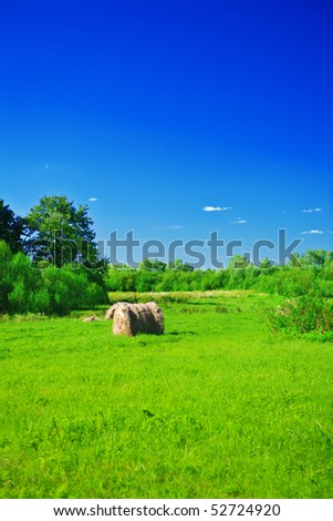 rural green field