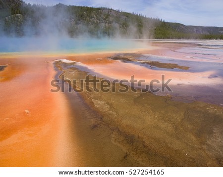 Run off from the Grand Prismatic Spring in Yellowstone National Park. The unusual coloration of the microbial "mats" depends on the combination of chlorophyll and carotenoids and temperature.