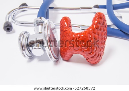 
Anatomical shape of the thyroid gland near the stethoscope, which examines it. Concept photo for exam or test, diagnosis and treatment of disease, disorder or other health problems of Thyroid gland