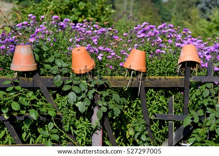 terracotta flowerpots as earwig trap