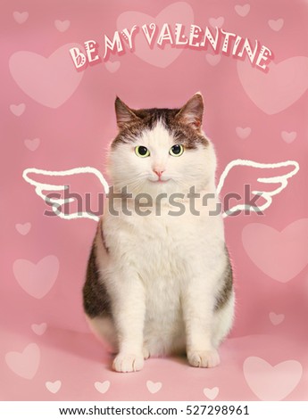 valentine card with fat smiling cat  with angel wings and heart frame on the pink background