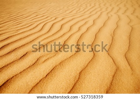 closeup golden sand texture. picture with soft focus . summer background
