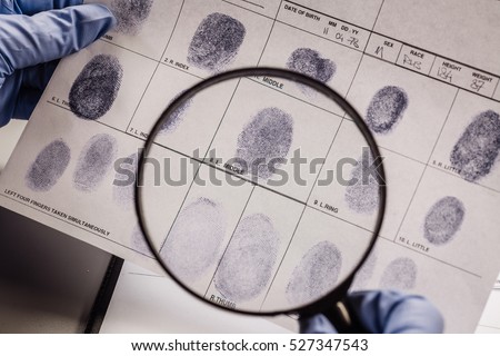Criminology expert through a magnifying glass looking at a fingerprint Royalty-Free Stock Photo #527347543