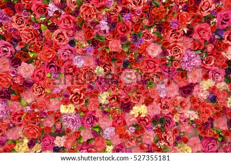 bright background of flowers of roses