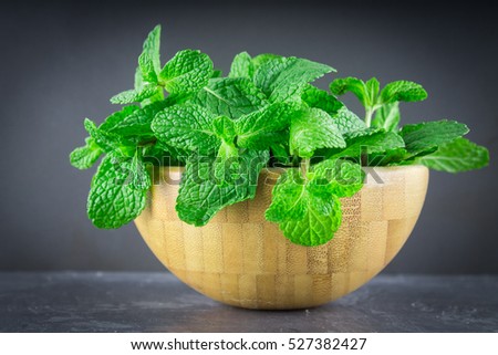 Green mint in a wooden bowl on a gray background. Royalty-Free Stock Photo #527382427