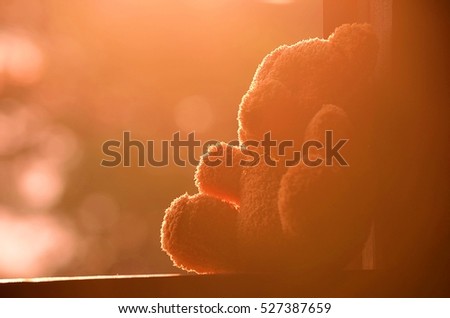teddy doll on the windows under the sunlight in the morning mean about love with each other