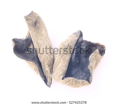 Dried black fungus or Auricularia polytricha over white background