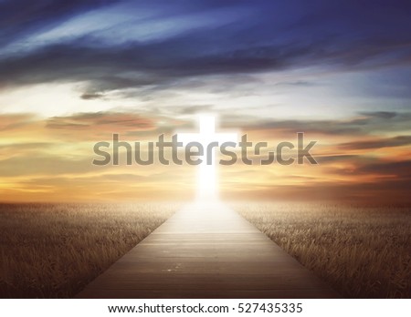 Empty path on the field going to christian cross