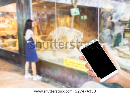 woman use mobile phone and blurred image of an asian girl stand in front of the white tiger room ,in the zoo