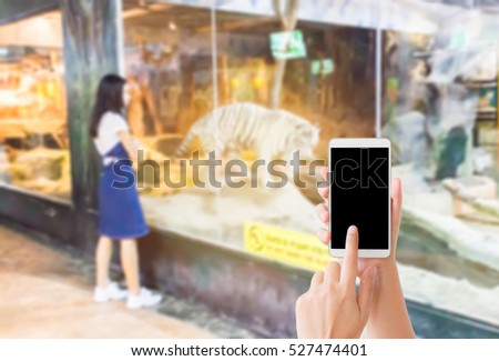 woman use mobile phone and blurred image of an asian girl stand in front of the white tiger room ,in the zoo