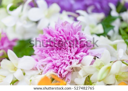 Bouquet of flowers white chrysanthemums with orchid and green leafs with drops of water on petals, natural spring background