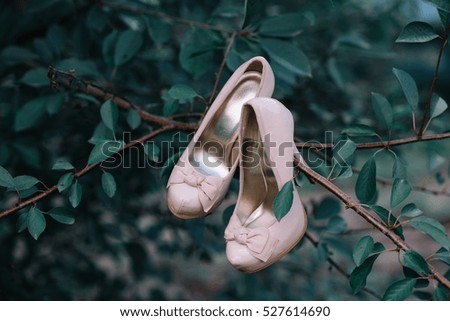Bridal shoes hanging on tree branch