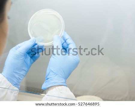Laboratory scientist working at lab.