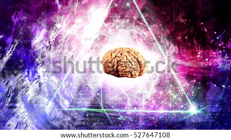Space brain.science