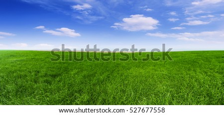 Green meadow under blue sky with clouds Royalty-Free Stock Photo #527677558