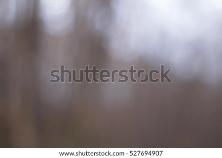Forest background and bokeh lights. brown black