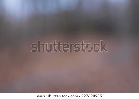 Forest background and bokeh lights. brown black