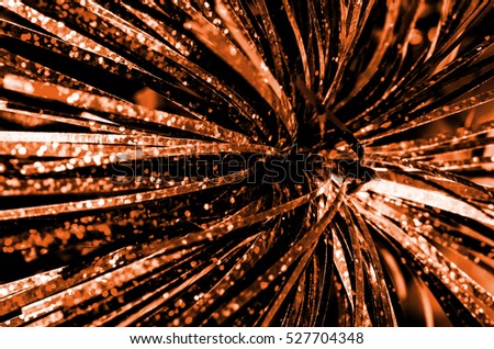 Spectacular celebration background with striking array of glittering lights / Celebration background / For festive events,musical and live show and party background