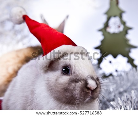 christmas rabbit with a christmas tree and present