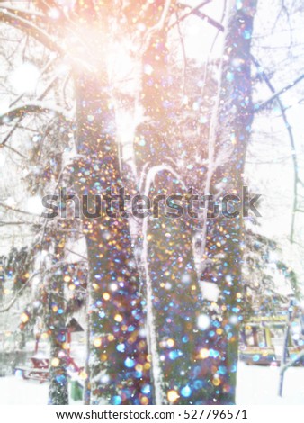 Amazing winter scene , with big trees and shining snow . Winter wonderland 