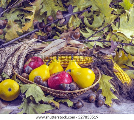 Fruits and vegetables in a decorative plate on the background of autumn leaves