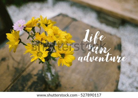 Inspirational quote on blurred yellow flowers background. Life is an adventure.