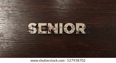 Senior - grungy wooden headline on Maple  - 3D rendered royalty free stock image. This image can be used for an online website banner ad or a print postcard.