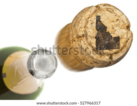 Champagne cork with the shape of Idaho burnt in and bottle of champagne in the back.(series)