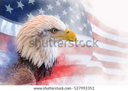 Composite photo: bald eagle in the foreground with the american flag blurred and faded in the background. Red and Blue mist at the bottom.