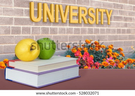 A concept of education with book and university word (composition)