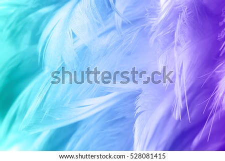Color trends chicken feather texture background