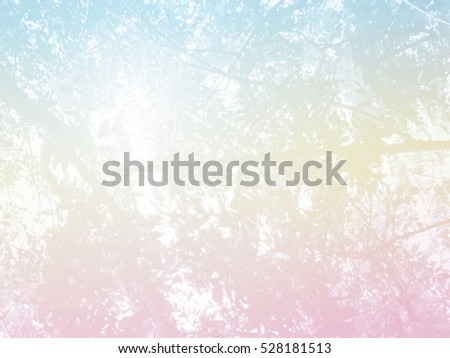 Abstract pastel color picture of  uprisen angle view tree  for background, greeting cards, happiness festival, New years wishes and Valentine day sent to everyone you love