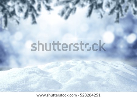 Winter space and snow top with green tree 