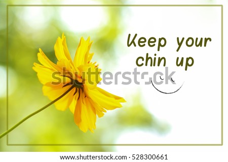 Abstract blurred yellow flower with the text Keep Your Chin Up,can use for a postcard or post in website.