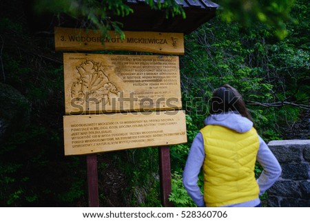 Female tourist standing on forest road looking at the information wooden board