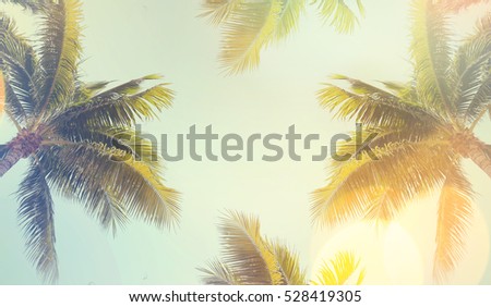 Vintage palm background texture frame