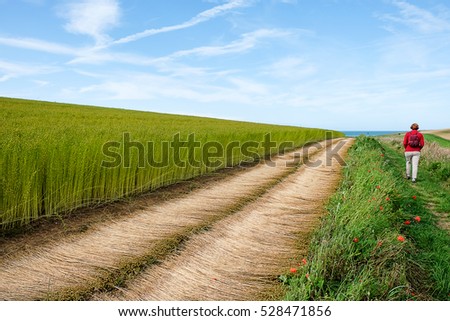 The flowered countryside at the top of the Normandy cliffs poppies Royalty-Free Stock Photo #528471856