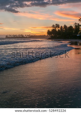 DICKWELLA, SRI LANKA -   the setting sun reflected in the ocean water surface at the background of silhouettes of palm forest