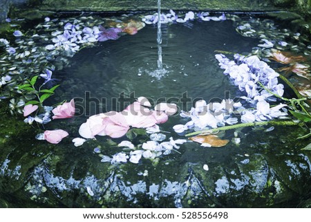 Pond with flowers on old stone fountain