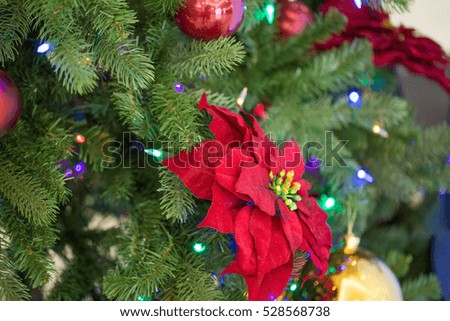 Christmas or New Year Decoration - Holiday Background