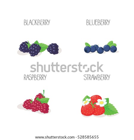 Set of berries pictures, composition with flowers and leaves - blackberry, blueberry, raspberry, strawberry, can be used icons, symbols, prints or elements in larger composition. Vector illustration.