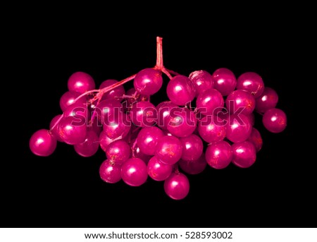 purple berries on a black background