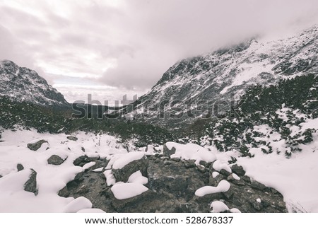 carpathian mountains in winter snow. romania, slovakia hiking tourist trails - vintage film effect