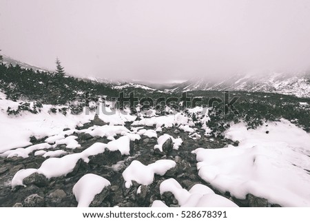 carpathian mountains in winter snow. romania, slovakia hiking tourist trails - vintage film effect