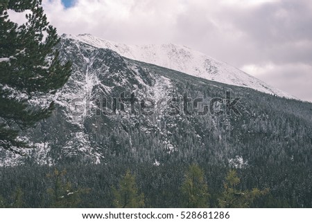 carpathian mountains in winter snow. romanina, slovakia hiking tourist trails - vintage film effect