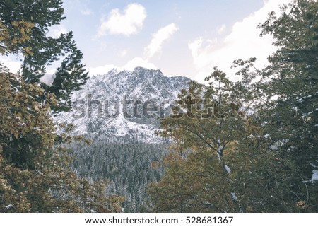 carpathian mountains in winter snow. romanina, slovakia hiking tourist trails - vintage film effect
