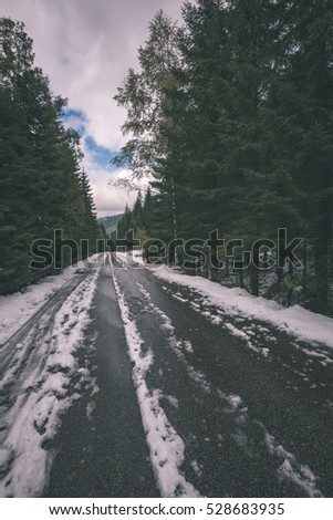 the road ahead. countryside in winter, trees and shadows - vintage retro look