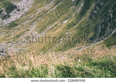 carpathian mountains in summer. romania, slovakia hiking tourist trails - vintage film effect