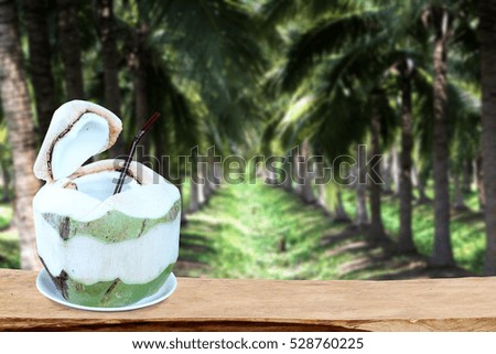 Coconut on wooden Palm tree backdrop.