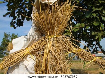 close up image of scarecrow and outdoors decorative costume fashion